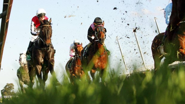 Racing heads back to Taree on Tuesday.