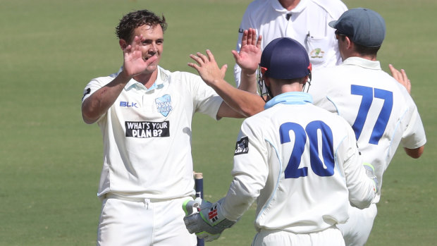 Return: Steve O'Keefe and Peter Nevill will bolster a Blues side in their upcoming Sheffield Shield final against Victoria. 