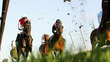 Heavy going: conditions could prove challenging for both horses and punters at Murwillumbah on Tuesday.