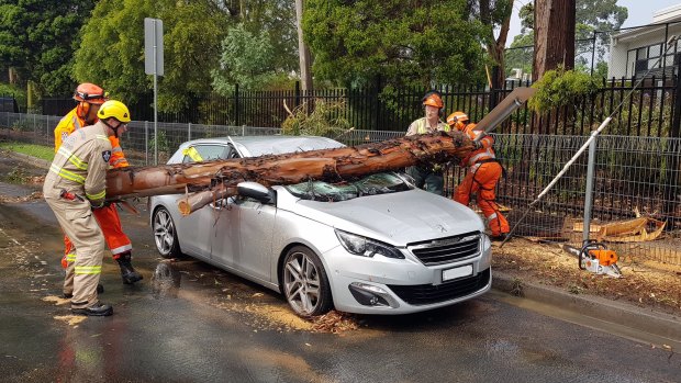 A couple have a lucky escape after a large branch crushes their car in Bulleen.