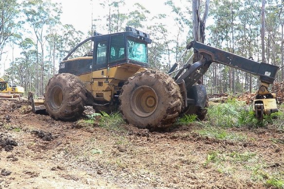 Logging machinery in the Styx River State Forest. The area was heavily burnt and ecologists fear for the remaining Hastings River mouse and other endangered species now that logging is resuming in what remains of unburnt.