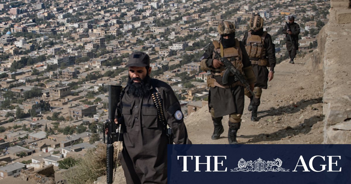 Border Clashes: Fighting Erupts Between Forces – Latest Updates