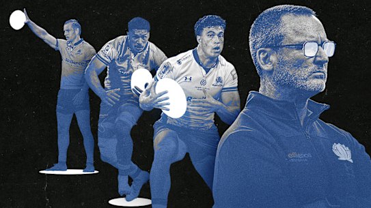 Waratahs graphic for end of season autopsy.