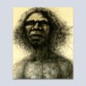 Archibald index