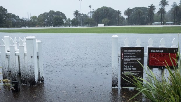 A flooded Jubilee Oval in Glebe on Wednesday morning.