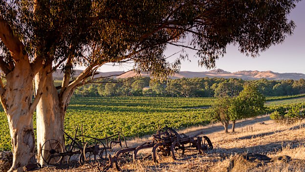 John Duval, a former Penfolds chief winemaker, is building a superb array of wines.