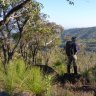 South West forest protection team beefed up in WA budget