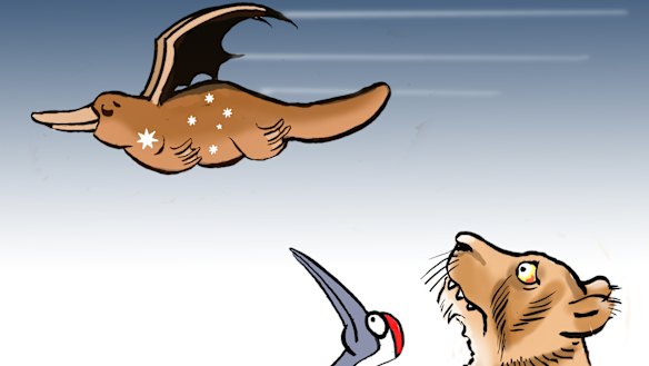 Illustration: Andrew Dyson