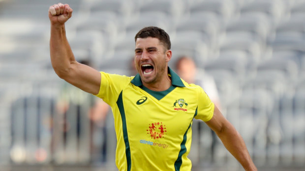 Leading the line: Marcus Stoinis was the best of Australia's fast bowlers, claiming three wickets in loss to South Africa.