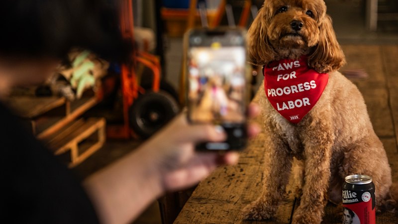 An election of no substance? It’s time to call bollocks