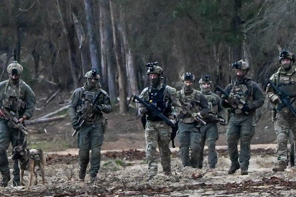 La policía registra una plantación en Porepunkah durante la búsqueda de Dezi Freeman en septiembre de 2025.