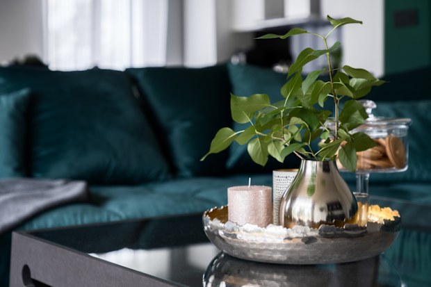 Stylish decorations and plants in silver tray on modern coffee table
