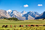 Kyrgyzstan and other Central Asian countries have a lot for nature lovers. 