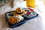 Bedbugs can be carried on suitcases.