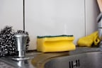 Sponges create the perfect environment for bacteria to grow because of the tiny little holes that make up their interior and their ability to hold on to moisture.