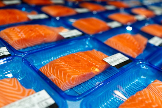 Stock image of salmon packets