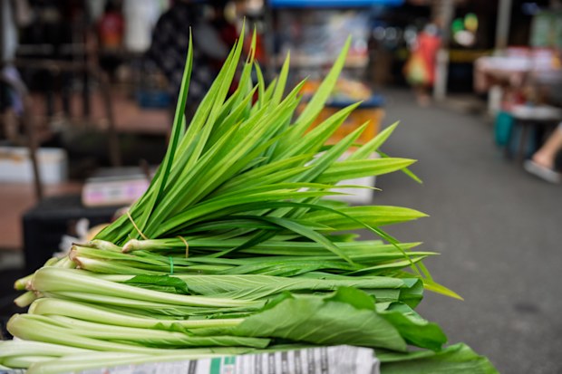 Close-up of freshly harvested pandan leaves and leafy vegetables arranged for sale at a local street market in Malaysia.