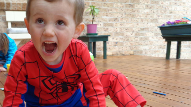 Mystery: William Tyrrell, who vanished in 2014, dressed in his Spider-Man suit.