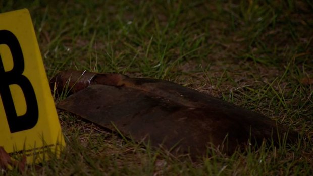 Residents of the Forest Lake home armed themselves with shovels when the group stabbed the family dog.