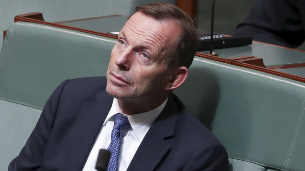 Tony Abbott's agenda has ham-strung the Turnbull government.