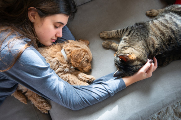 The girls and I had fallen for a friend’s puppy and we knew a similarly small type of dog would work for us.