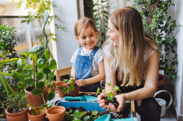 Strengthen your ties to the outside by growing your own herbs.  