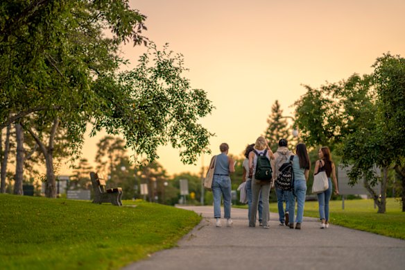 In Helpless, a university campus becomes a toxic time capsule. 