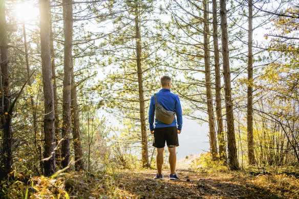 “It’s just [a<em></em>bout] being in nature and watching stuff and seeing what happens,” says forest therapy guide Daniel D’Appio.