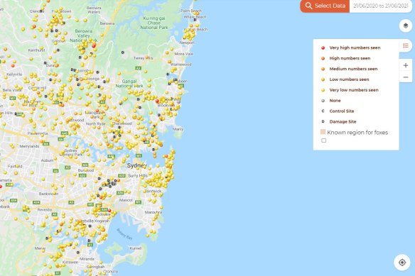 Fox sightings in Sydney over the past year reported to Feral Scan’s fox scan service.