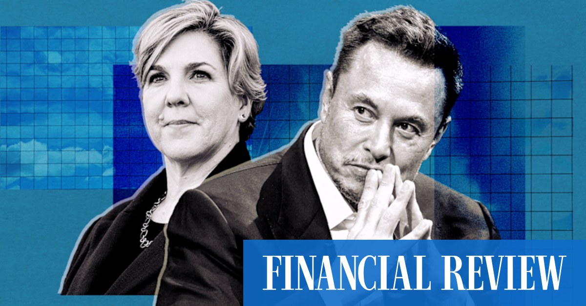 'Life-changing' wealth stopped Tesla chairwoman Robyn Denholm standing up to Elon Musk: judge - Vimarsana News