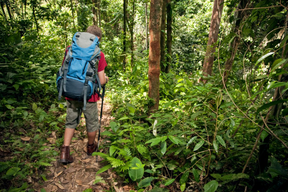 Talking – or even singing – while bushwalking may help ward off snakes.