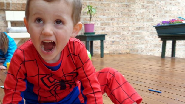 William Tyrrell, who vanished in 2014, in his Spider-Man suit.