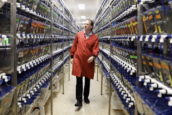 Peter Currie in the fish lab at Monash University’s Clayton campus.