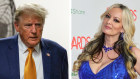 Stormy Daniels recounted having sex with Donald Trump in a hotel room. 