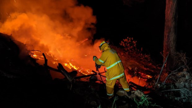 Crews fight the bushfire at Springbrook.