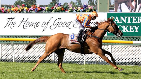 Cox Plate placegetter Te Akau Shark has passed away.