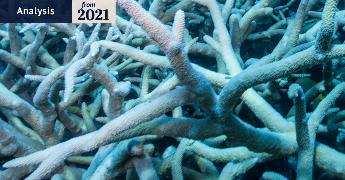 Climate change: Great Barrier Reef warning backlash a sideshow to ...