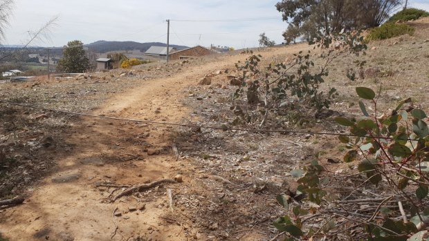 Wire seen strung across a trail at Tuggeranong Hill Nature Reserve targeting cyclists.