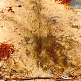 Drag marks of Bradley Edwards' rape victim into Karrakatta Cemetery. 