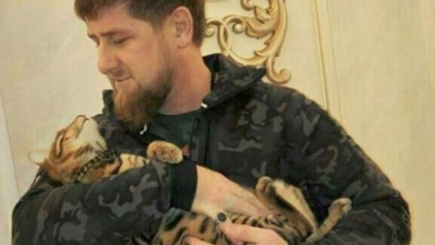 Chechnyan leader Ramzan Kadyrov pictured with his cat.