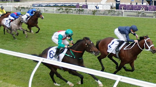Benaud (grey horse) follows home Gloaming winner Head of State (blue silks) and Profundo last month.