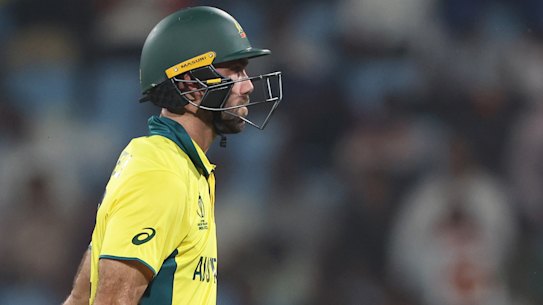 Glenn Maxwell personifies Australia after being dismissed by South Africa.