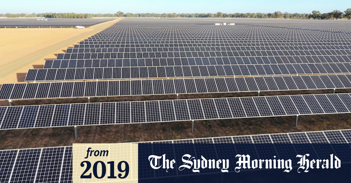 'No limits': Victoria's biggest solar farm paves way for more