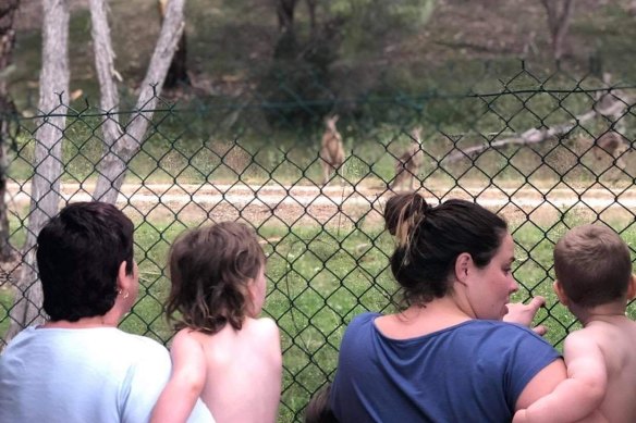 A family watches the kangaroos.