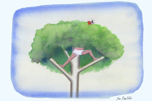 Early bird