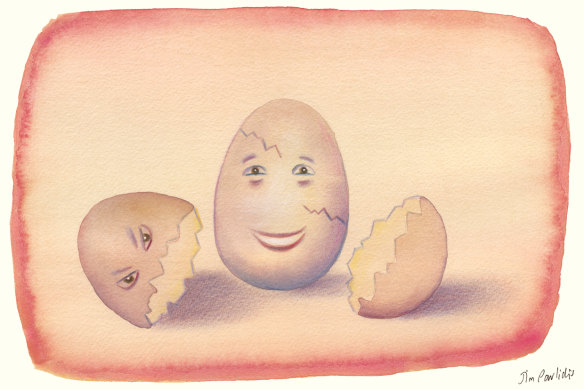 Eggshells