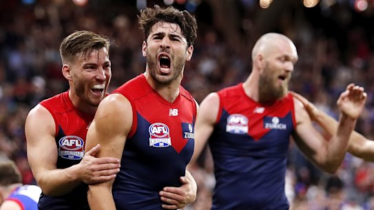 A Christian Petracca-inspired Melbourne stormed to premiership victory over the Bulldogs. 
