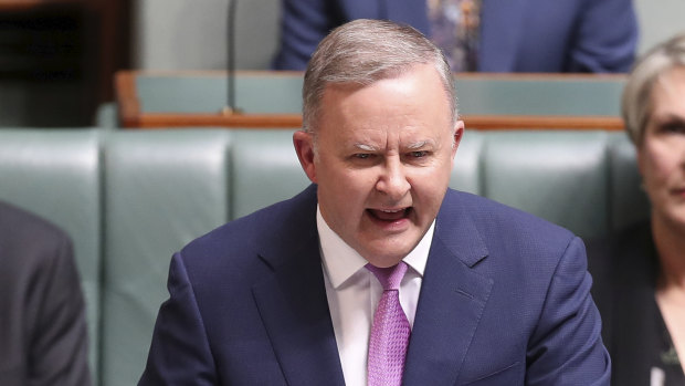 Opposition Leader Anthony Albanese went big and bold on childcare in the budget reply.