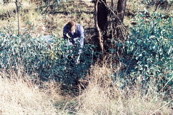 Members of the public found the 49-year-old’s body in bushland off King Parrot Creek Road near Strath Creek in 1984.