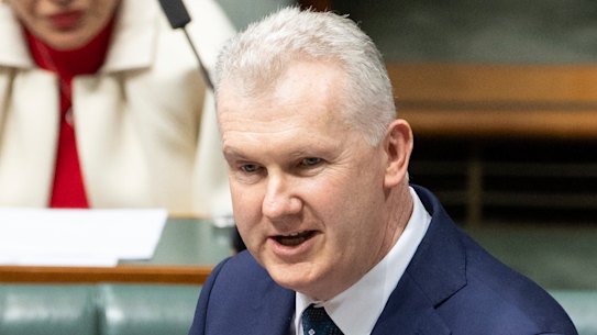 Arts minister Tony Burke